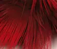 Hareline Golden Pheasant Body Feathers - Other Feathers and Plumes - 404503000055 - 7