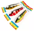 Kuusamo Professor 18cm 60g - Spoons +30 g - 3400500065 - 9