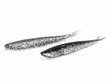 Lunker City Fin-S Fish 5''/12,5cm - Soft Baits for Vertical Fishing - 1730020005 - 3