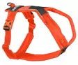 Non-stop Dogwear Line Harness 5.0 Orange - Dog Harness - 7071652021845 - 1