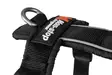 Non-stop Dogwear Line Harness 5.0 Orange - Dog Harness - 7071652021845 - 3
