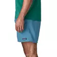 Patagonia Ms Baggies Shorts 5in M SHRB - Pants - 198077737575 - 5