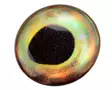 Sybai 3D Epoxy Fish Eyes 10mm -tarrasilmät - 3D Eyes - 402004000095 - 4