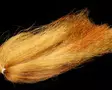 Sybai Slinky Hair - Pike Fly Tying Materials - 40550200015 - 25