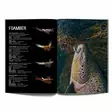 Top Salmon Flies Vol.2 - Literature - 9789526879215 - 3