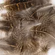 Veniard English Partridge Brown Back - Other Feathers and Plumes - 5056304603459 - 2