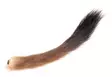Stoat Tail - Tails - 40500100015 - 3