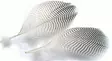 Veniard Teal Flank Feathers - Other Feathers and Plumes - 5056304604692 - 1