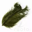 Wapsi Ostrich Plumes - Other Feathers and Plumes - 40450300035 - 3