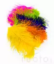 Wapsi Ostrich Plumes - Other Feathers and Plumes - 40450300035 - 1