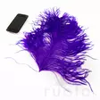 Wapsi Ostrich Plumes - Other Feathers and Plumes - 40450300035 - 2
