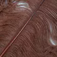 Wapsi Ostrich Plumes - Other Feathers and Plumes - 40450300035 - 4