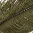 Wapsi Ostrich Plumes - Other Feathers and Plumes - 40450300035 - 8