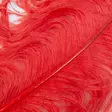 Wapsi Ostrich Plumes - Other Feathers and Plumes - 40450300035 - 5