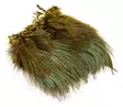 Wapsi Ringneck Pheasant Rump Hackle - Other Feathers and Plumes - 404503000015 - 2