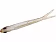 Westin TwinTeez V2 14,5cm - Soft Baits for Vertical Fishing - 570754941005 - 8