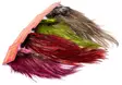Whiting Coq De Leon Euro Nymph Tailing Pack - Hen Capes And Saddles - 40350300035 - 1