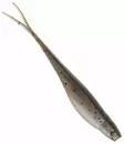 Z-Man StreakZ 3,75"/9,5cm - Floating softbaits - 1734015 - 4
