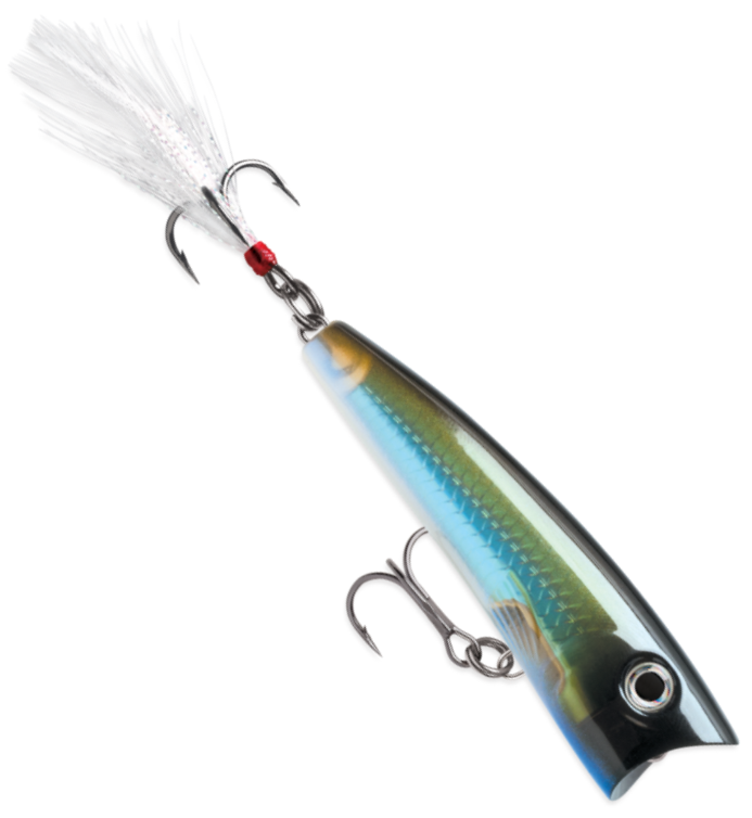 Rapala X-Rap Pop 7cm 11g Popper 7cm 11g - Ruoto.com webstore