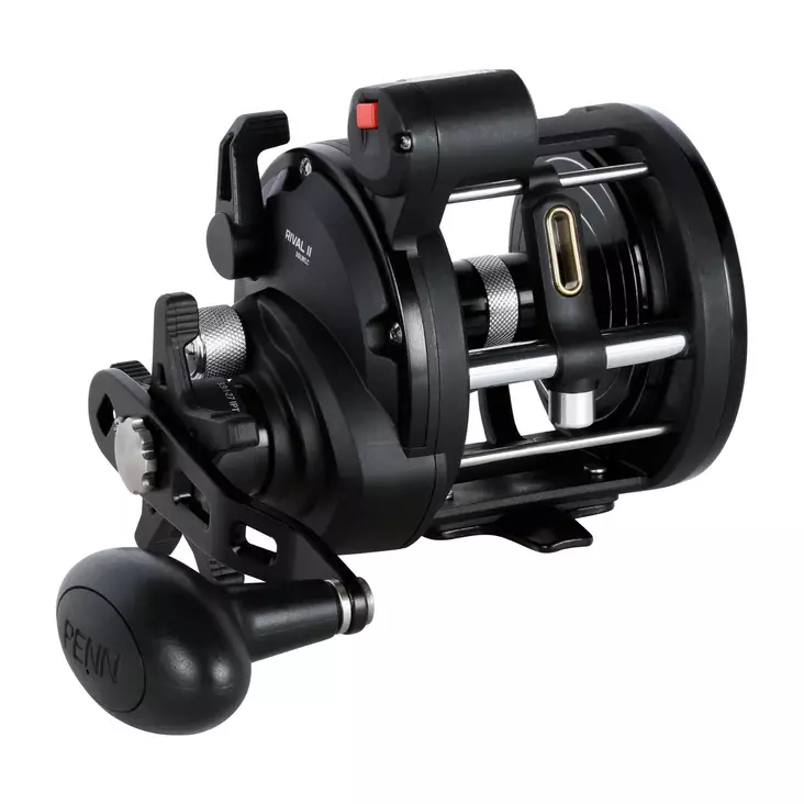 Penn Rival II Level Wind 30 LC - Saltwater Spinning Reels - 031324016545 - 1