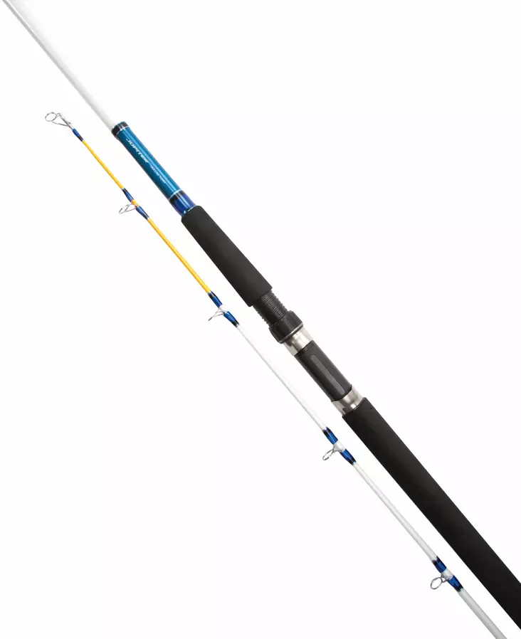 Daiwa Jupiter JTR602MH - Daiwa Trolling Rods - 5055161893065 - 1