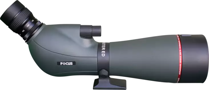Focus Viewmaster ED 20-60x80 WP - Spotting Scopes - 7391879047955 - 1