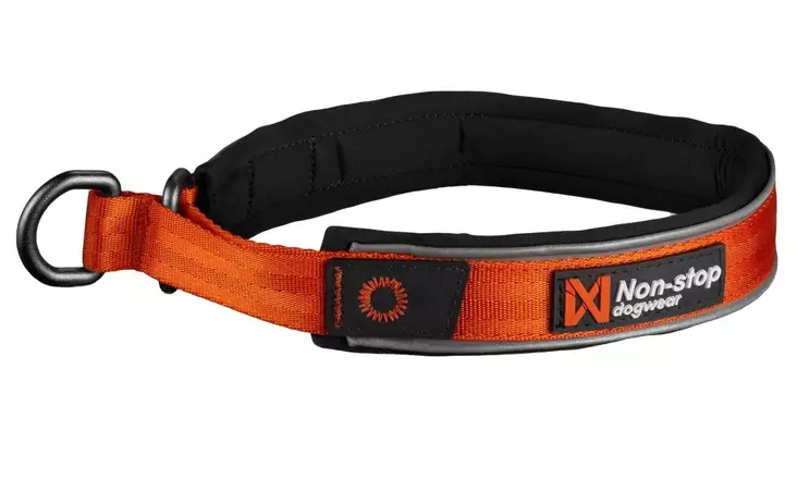 Non-stop Dogwear Cruise Collar Orange - Dog Collar - 7071652015035 - 1