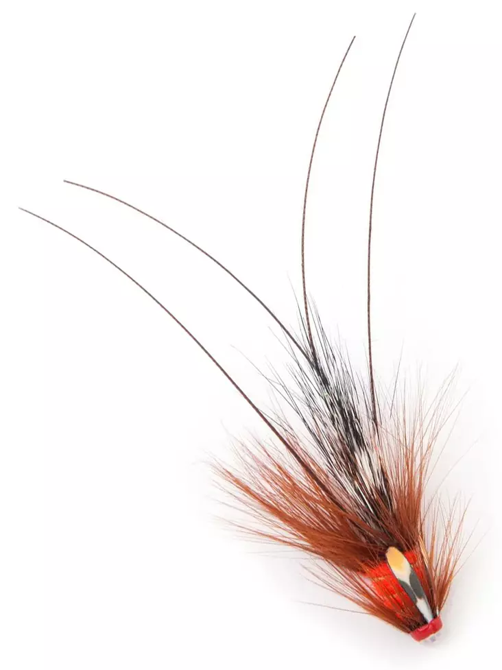 Pot Belly Pig - Fl. Fire Red - Tube Flies - 7033841055765 - 1