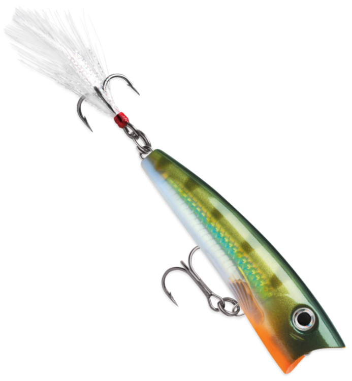 Rapala X-Rap Pop 7cm 11g - Topwater lures - 1730010045 - 1