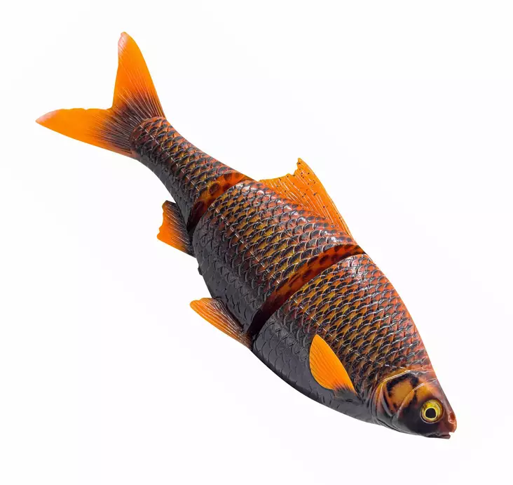 Savage Gear 3D Line Thru Roach 32cm Slow Sink Softbait for Big Pike -  Ruoto.com webstore