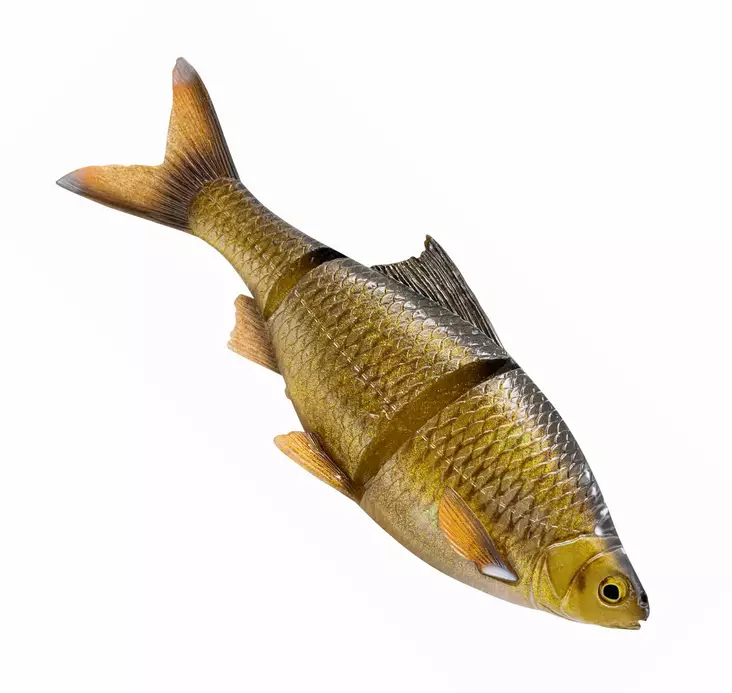 Savage Gear 3D Line Thru Roach 32cm Slow Sink Softbait for Big