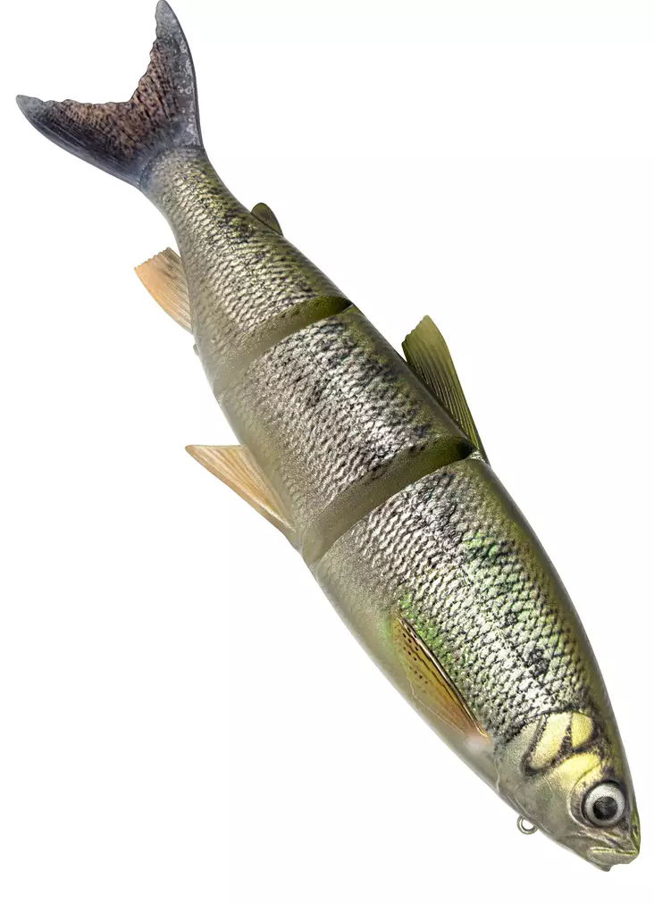 Savage Gear 3D LT Whitefish 22cm/107g - Soft Baits for Pike yli 100g - 173026925 - 2