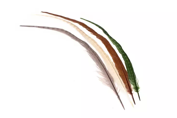 Silvergrey Cock Pheasant Centre Tails - Tails - 404503000025 - 1