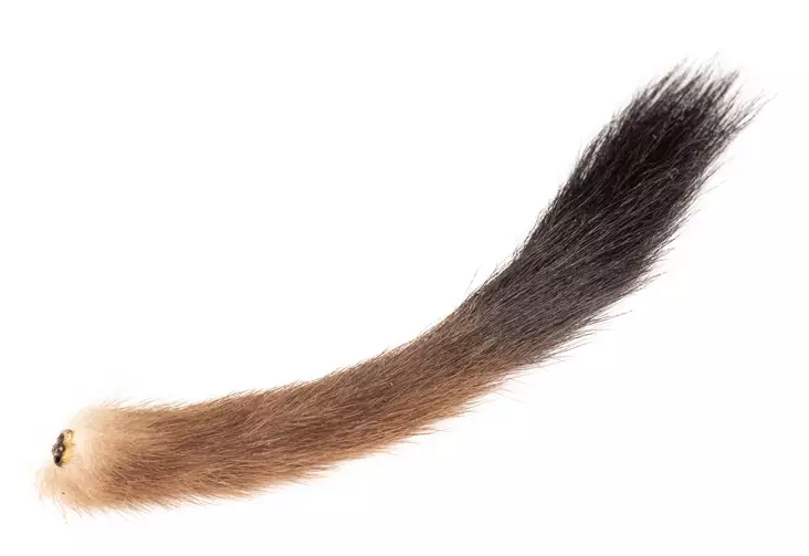Stoat Tail - Tails - 40500100015 - 3