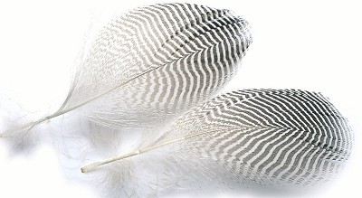 Veniard Teal Flank Feathers - Other Feathers and Plumes - 5056304604692 - 1