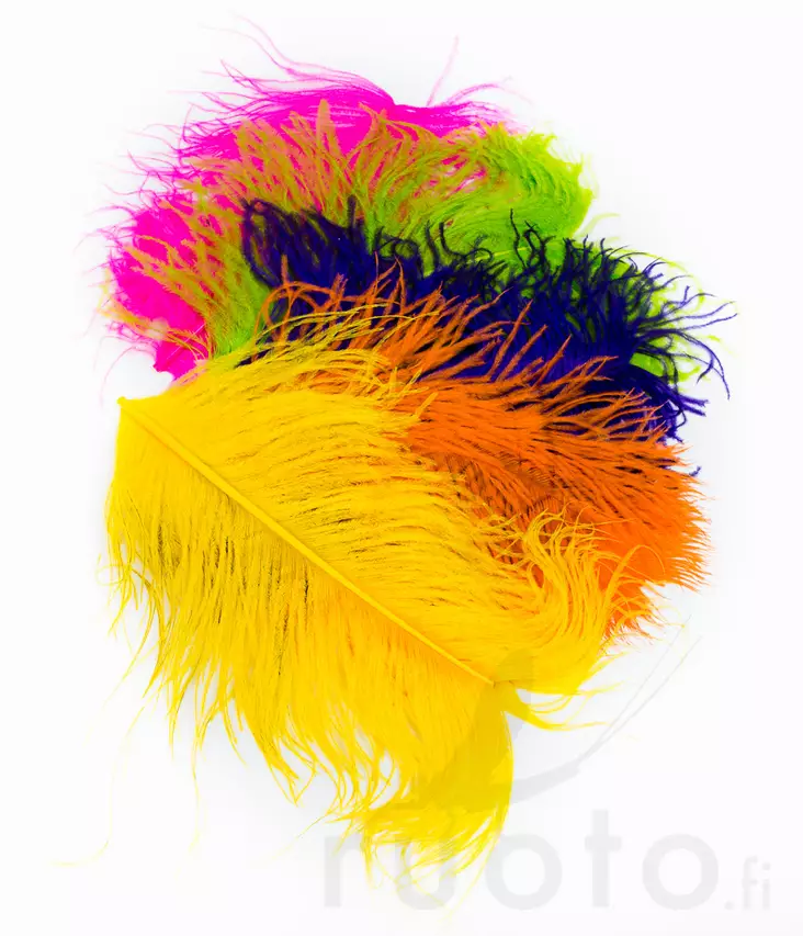 Wapsi Ostrich Plumes - Other Feathers and Plumes - 40450300035 - 1