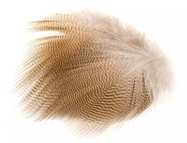 Wapsi Wood Duck Lemon Barred - Classic Feathers - 053526035025 - 1