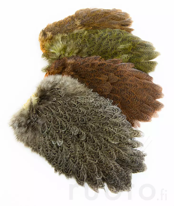 Brahma Hen Saddle - Hen Capes And Saddles - 40350300005 - 1