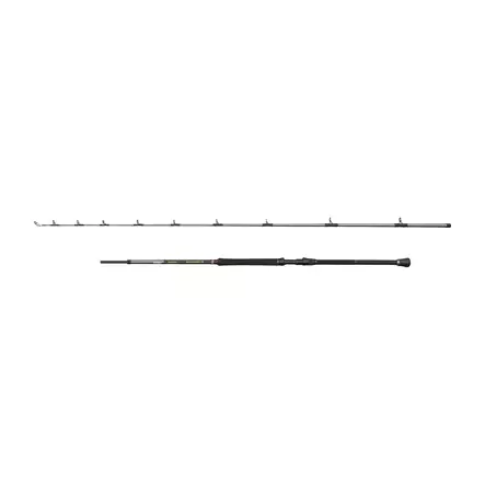 Penn Regiment IV Braid 8'2'' 20-30lb - Boat & Bottom Fishing Rods - 031324002036 - 2