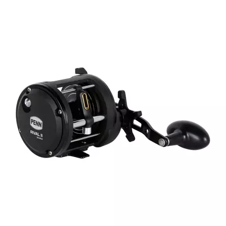 Penn Rival II Level Wind 30 LH - Saltwater Spinning Reels - 031324017856 - 2