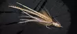 Ahrex SA220 Streamer SW - Seatrout Hooks - 655043955376 - 3