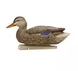 Avian-X Topflight Fusion Mallards 6pcs - Decoys - 810280080766 - 5