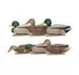 Avian-X Topflight Fusion Mallards 6pcs - Decoys - 810280080766 - 1