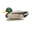 Avian-X Topflight Fusion Mallards 6pcs - Decoys - 810280080766 - 6