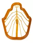 Easy Shrimp Legs 2.0 Medium - Other Fly Tying Products - 40850000666 - 1