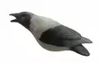 Final Approach Last Pass hooded Crow - Decoys - 728614276696 - 2