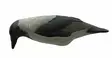 Final Approach Last Pass hooded Crow - Decoys - 728614276696 - 3