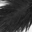 Hareline Ostrich Herl - Other Feathers and Plumes - 40450300066 - 3