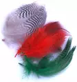 Hareline Teal Flank Feathers - Other Feathers and Plumes - 40450300096 - 1