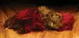 Hareline Wooly Bugger Marabou - Other Feathers and Plumes - 40450300026 - 34